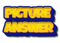 Picture Answer